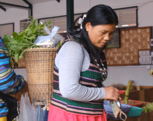 Guardian of the Sacred Forest: The Story of Roeun Heng