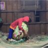 The issues facing by Indigenous Women in a full and effective participation in land and Natural Resource Management in Cambodia